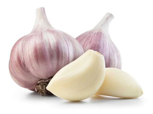 Fresh garlic